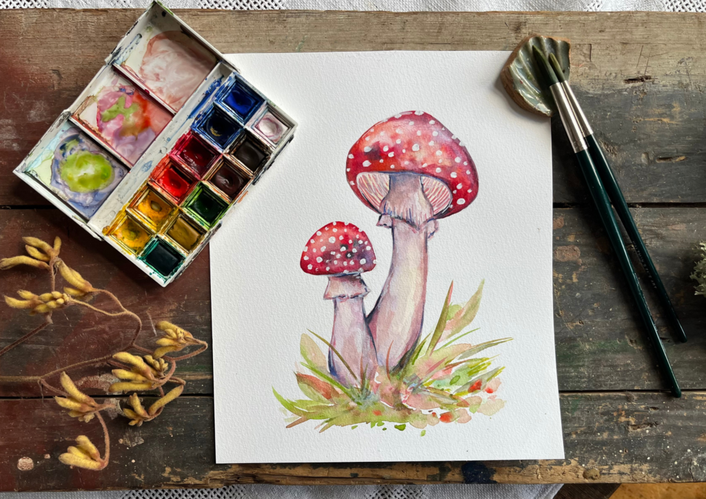 website pics mushroom class